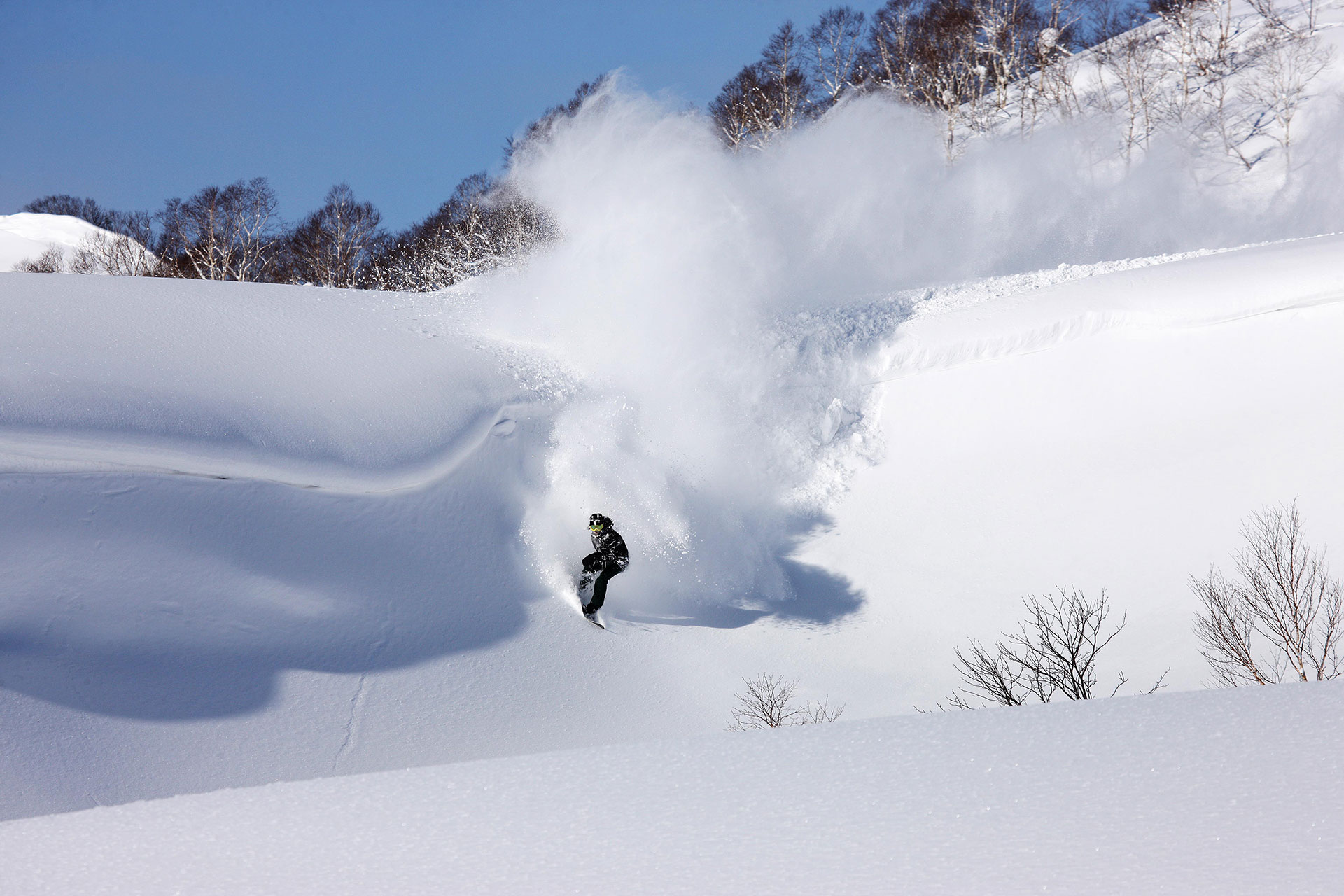 Jake McCarthy riding the Joy Craft in deep Niseko powder